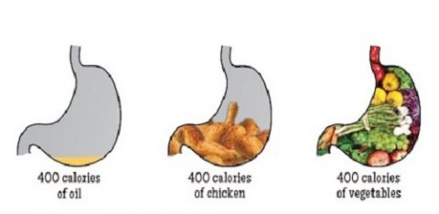 caloric-density-stomachs