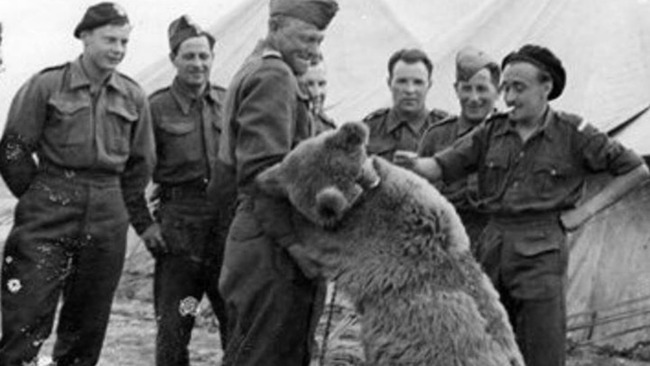 Historia Wojtka - niedźwiedzia który poszedł na wojnę