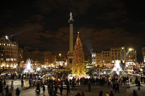 Historia bożonarodzeniowej choinki z londyńskiego Trafalgar Square