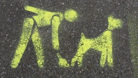 Jak walczyć z właścicielami psów, niesprzątającymi po swoich czworonogach?