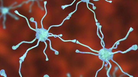 Obiecująca terapia dla chorych na Parkinsona