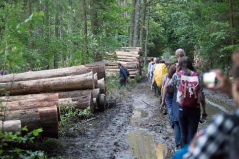 Katarzyna Lubnauer: Nie mogę pozbyć się wrażania, że Puszcza Białowieska i jej tragedia, to Polska w pigułce