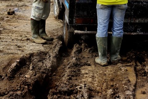 Polacy w Niemczech zarabiają dwukrotnie więcej niż w Wielkiej Brytanii gdzie pracują na minimalnych stawkach
