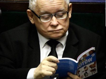 Dariusz Stokwiszewski: Ja szary obywatel bez żadnego trybu, bo w bardzo ważnej sprawie — do prezesa!