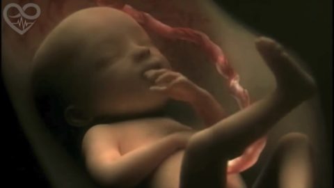 9 miesięcy ciąży w 4 minuty