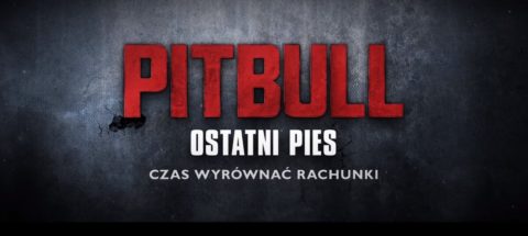 „Pitbull. Ostatni pies” nie Vegi lecz Pasikowskiego wkrótce trafi do kin