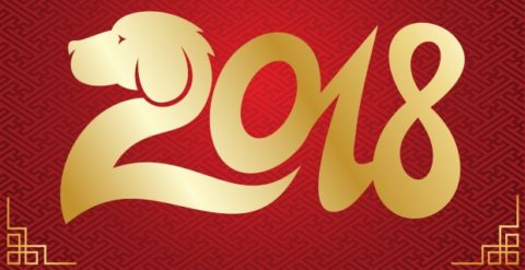 Dzisiaj rozpoczyna się Chiński Nowy Rok 2018. Sprawdź co nas czeka w roku Ziemnego Psa