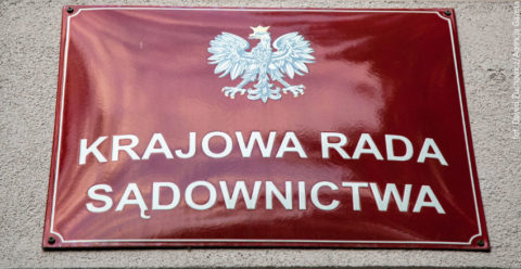Dariusz Stokwiszewski: Kolejna farsa niszcząca Polskę — z KRS w tle!