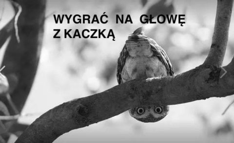 Manuela Gretkowska: Kaczyński stracił głowę i część narodu razem z nim