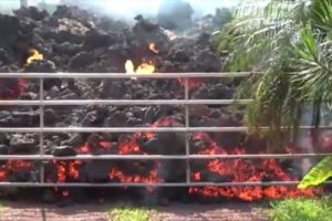 Hawaje: Lawa dobywająca się z wulkanu Kilauea pożera wszystko, co staje jej na drodze