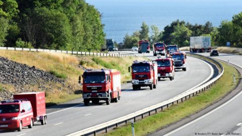 Europa walczy z pożarami lasów. Na jaką pomoc może liczyć każdy kraj UE?
