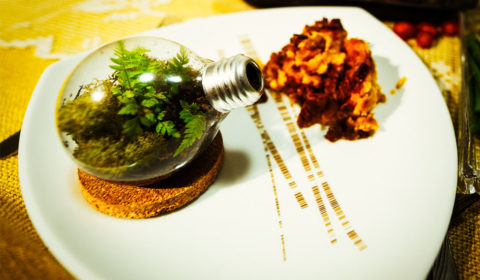 Święto Dziękczynienia – Thanksgiving