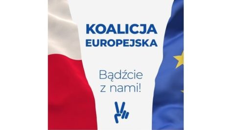 Ryszard Petru:  Nie zgadzamy się, aby Polska tkwiła na peryferiach Unii Europejskiej