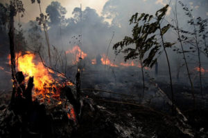 Pożary szalejące w Amazonii