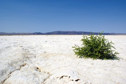 Na powstrzymanie kryzysu klimatycznego, mamy nie 12 lat, a 18 miesięcy