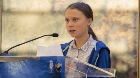 Marcin Zegadło: Dużo mówi się o 16-letniej Thunberg. Wytknęła politykom  zaniedbania i bezczynność