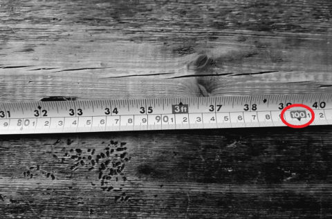 Piotr Pietrucha:  Sto dni, Manuelo, oświadczam publicznie. Tyle jeszcze wytrzymam