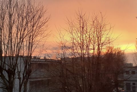 Bogumiła Nowak: Grunt to nie zwariować