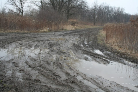 Bogumiła Nowak: Drobiazgi nie psują mi humoru