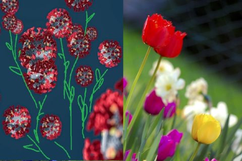 Jolanta Saacewicz:  Mieliśmy piękne życie.  Jeśli więcej nie będzie  nam dane, przynajmniej odejdziemy z uśmiechem