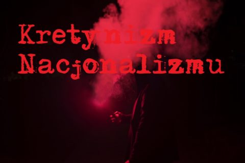 Stefan Niesiołowski:  Kretynizm nacjonalizmu