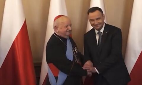 Adam Mazguła: Mafia lawendowa