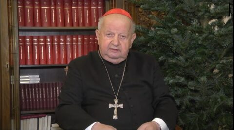 Stefan Niesiołowski: Pan Dziwisz w swoim miłosierdziu i dobroci przebaczył nam