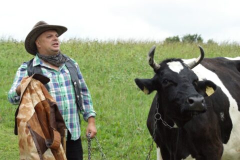 Krzysztof Skiba: Czy dymanie krowy pomoże PiS wygrać kolejne wybory?