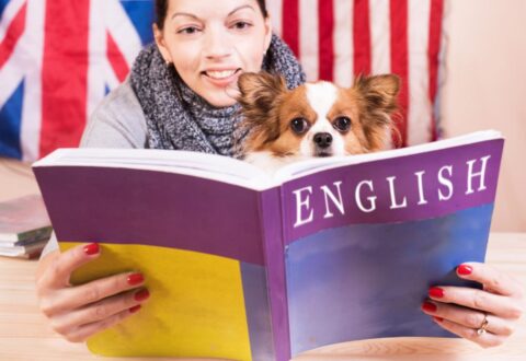 Nauka angielskiego – jak zacząć?