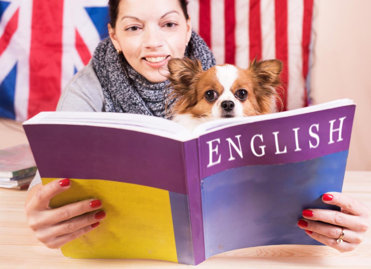Nauka angielskiego - jak zacząć?