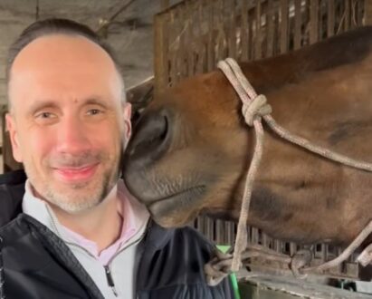 Krzysztof Skiba. Koń Kowalskiego, czyli człowiek, który uciekł z krainy rozumu