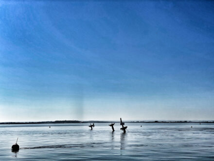 Wrak SS Richard Montgomery